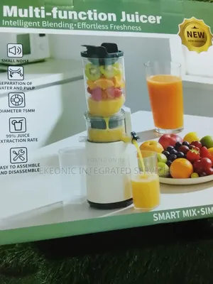 Fruit Juicer