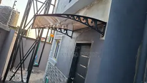 Amazing Door and Windows Protector