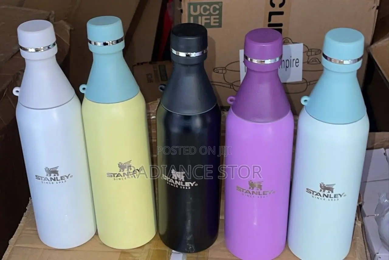 Stanley Insulated Water Bottle