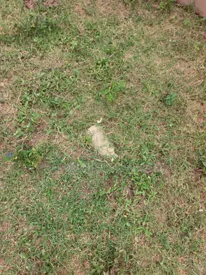 Size: 1,890 Sqm. Commercial Land for Sale by Gudu Market, Abuja.