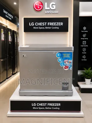 Original LG 250L Chest Freezer – Silver Finish
