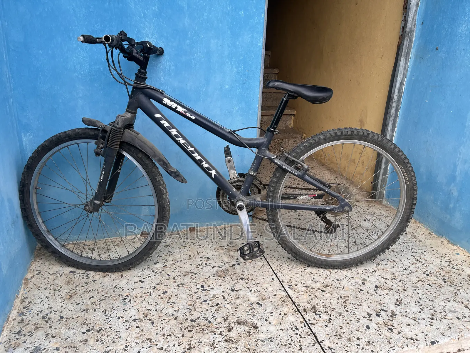 Neatly Used Bicycle