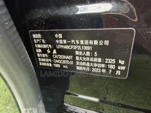 Hongqi E-HS9 2024 Black