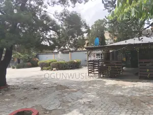 Big Bar With Kitchen for Rent