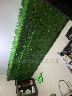 IVY Walmart Suitable for Your