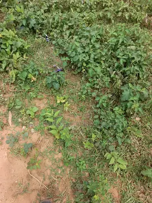 Size: 3700 Sqm. Commercial Land for Sale in Kubwa Fo1, Abuja.