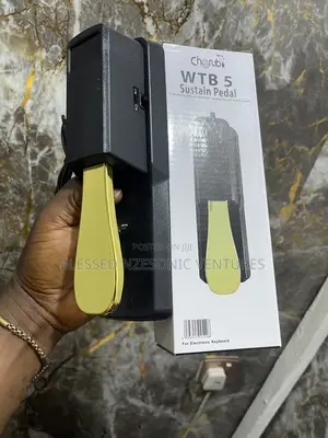 Keyboard Sustain Pedal