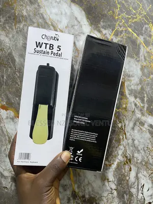 Keyboard Sustain Pedal