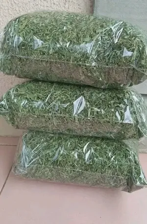 Dry Vegetable Leaf