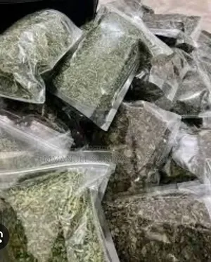 Dry Vegetable Leaf