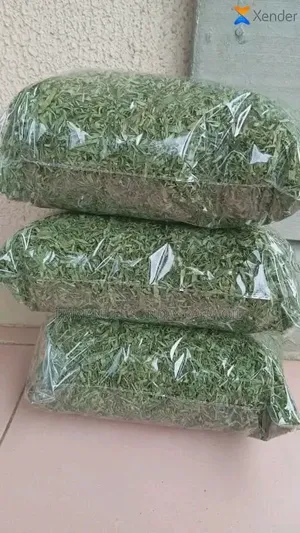 Dry Vegetable Leaf