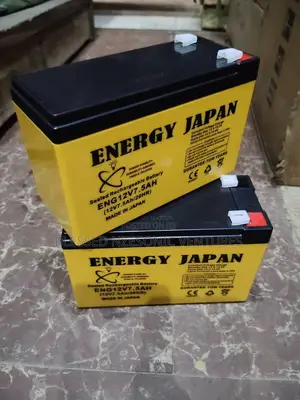High Energy Japan Battery