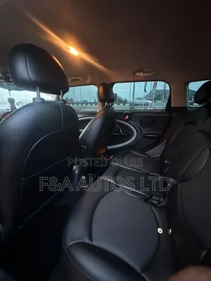 Mini Mini 2015 Brown