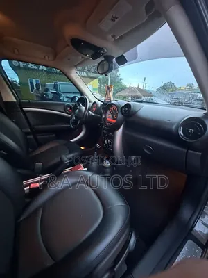 Mini Mini 2015 Brown