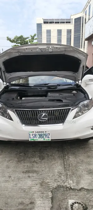 Lexus RX 2010 White