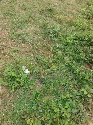 Size: 9,922 Sqm. Commercial Land for Sale in Gudu Abuja – Nigeria.