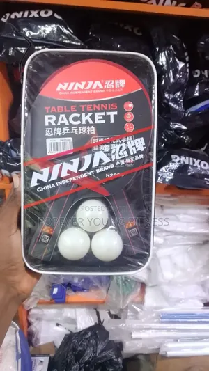 2 in 1 Bat Ball
