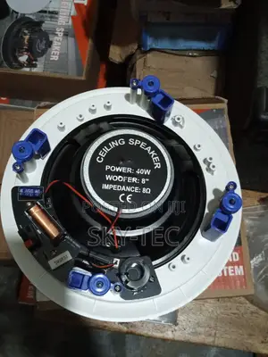 Dart 40w Ceiling Speakers