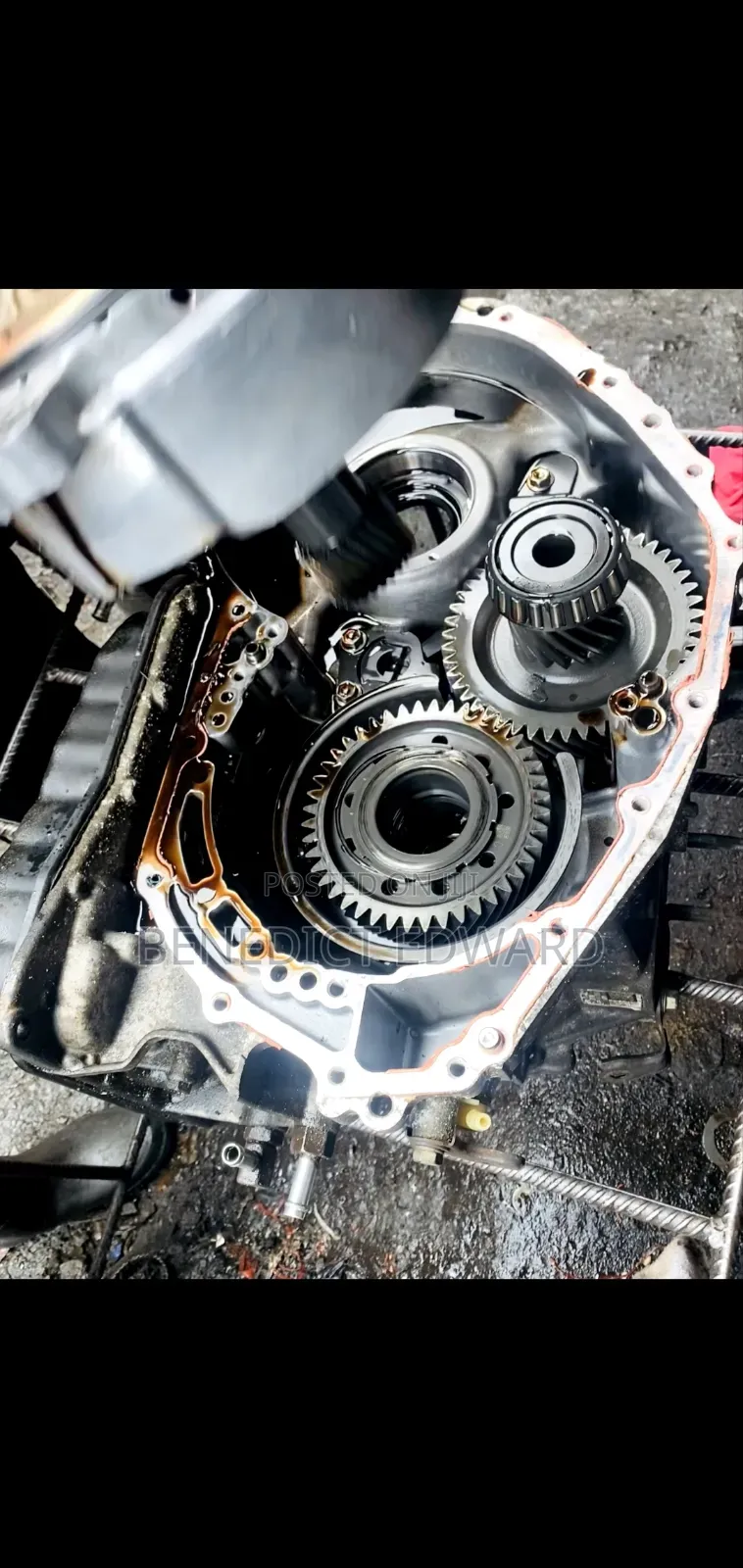 Gear Specialist