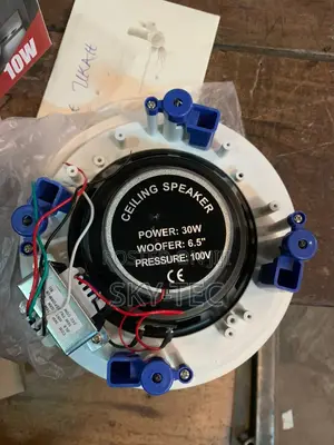 Original Dart 30watts Ceiling Speakers
