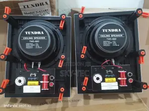 Tundra 60watts in Wall Speaker Flameless