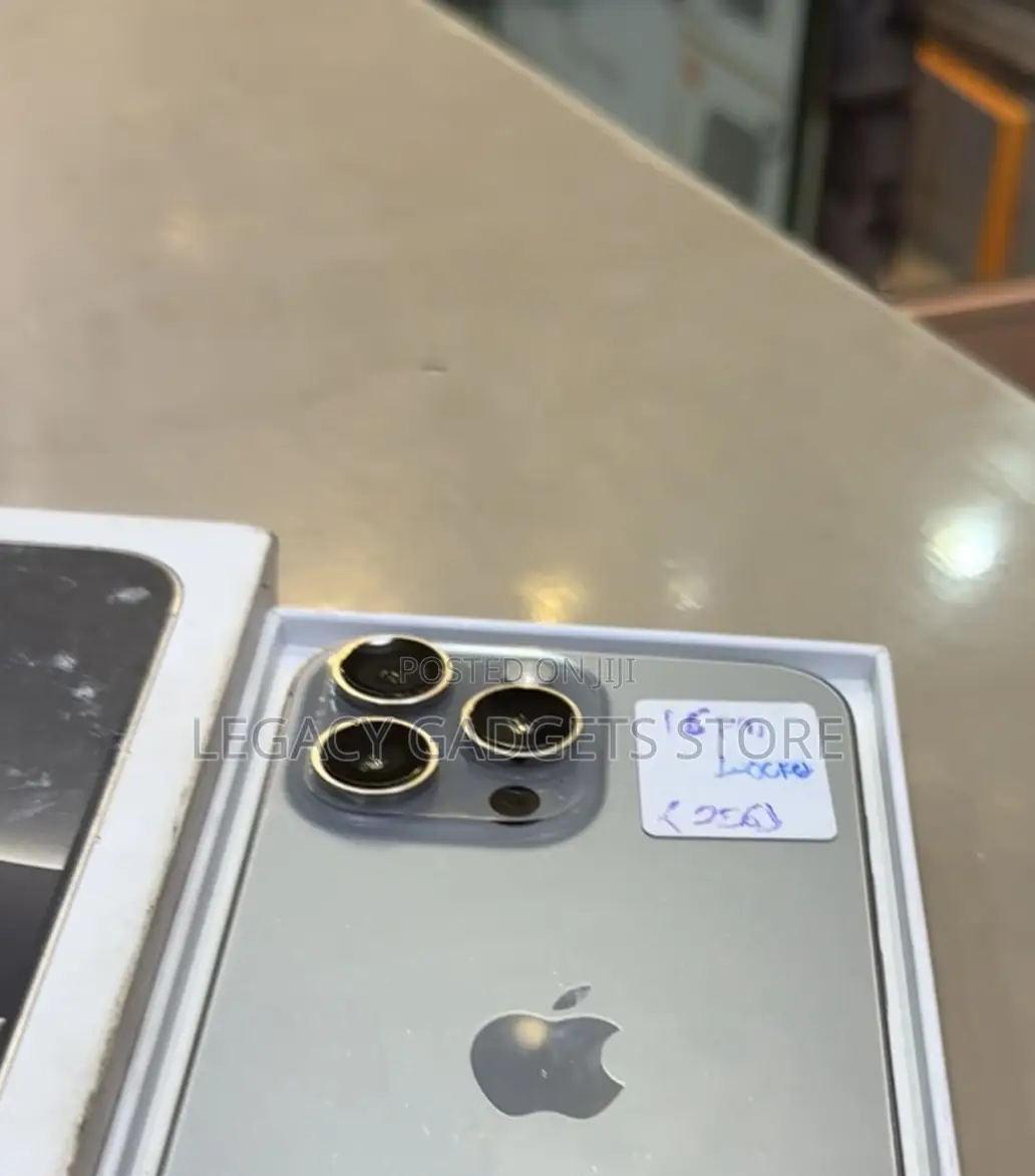 Apple iPhone 16 Pro Max 256 GB Gray