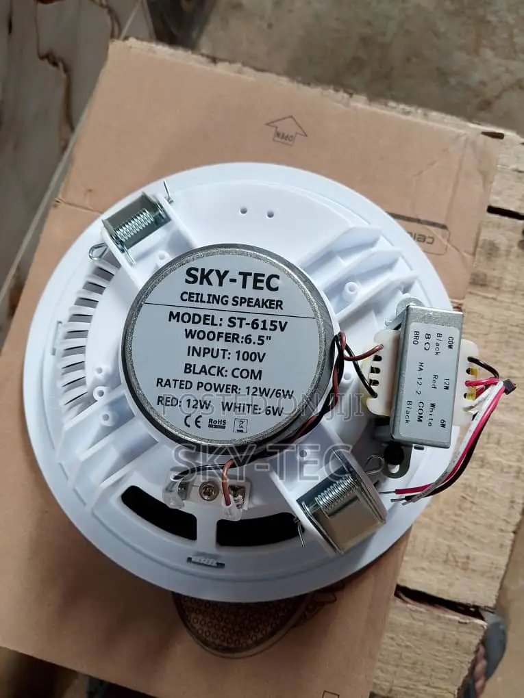 Sky-Tec 12watts Passive Ceiling Speaker