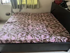 Used Bed Frame and Mattress