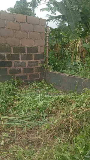 100 by 50 Feet