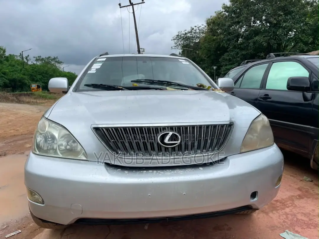 Lexus RX 330 2004 Silver