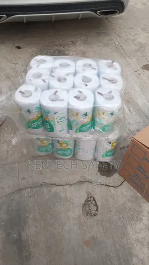Belle Big Toilet Tissue Paper