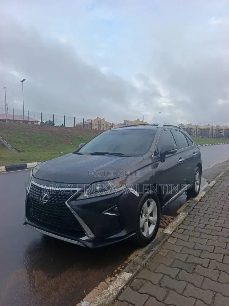 Lexus RX 2011 Gray