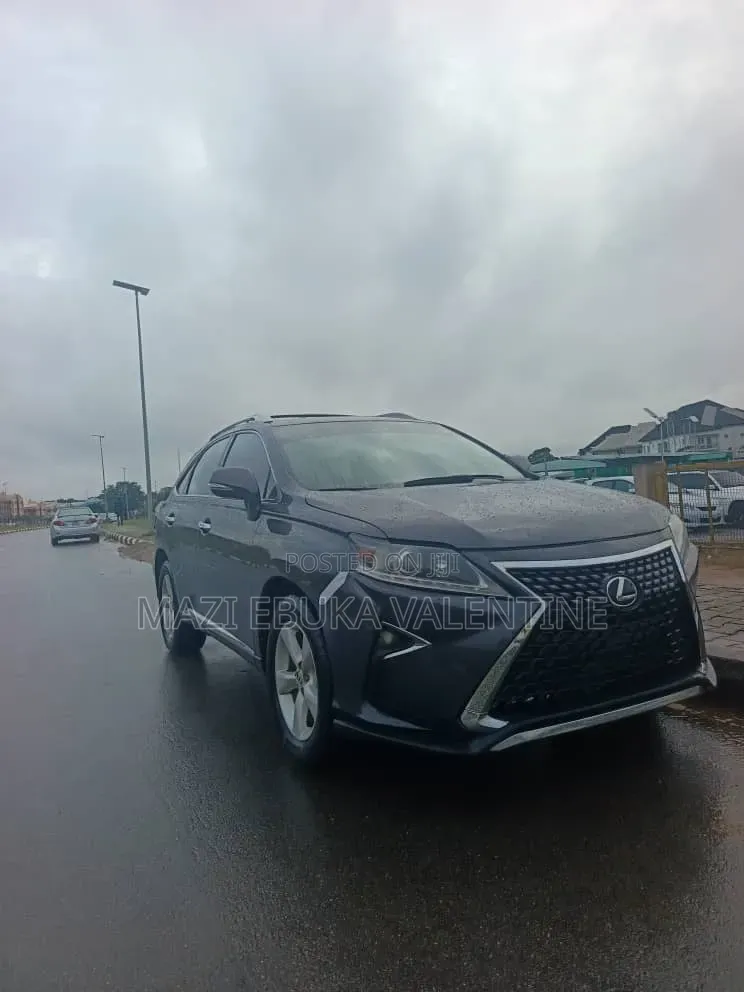 Lexus RX 2011 Gray