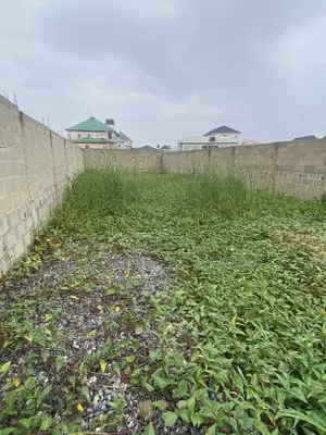 Half Plot for Sale at Peace Estate Ago, Okota Lagos.