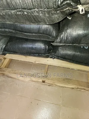 Premium Garri Ijebu