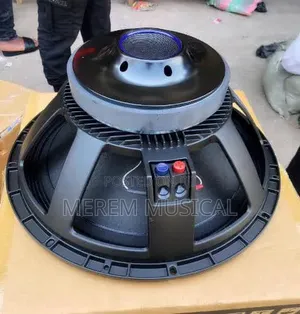 RCF 18 Inches Naked Speaker
