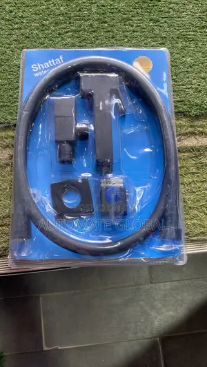 Bidet Sprayer