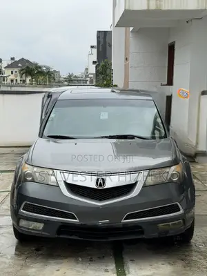 Acura MDX 2010 Gray