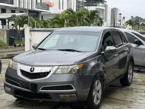 Acura MDX 2010 Gray
