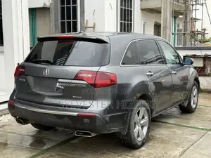Acura MDX 2010 Gray