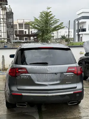 Acura MDX 2010 Gray