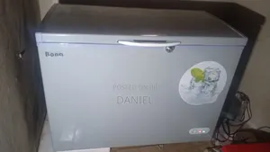 Bona Solar Deep Freezer (318l)