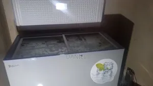 Bona Solar Deep Freezer (318l)