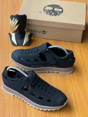 Timberland Men’S Quality Leather Shoe