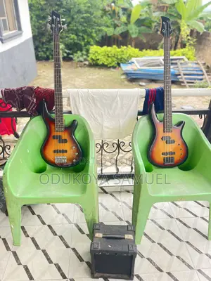 Gipson Professional Guiter