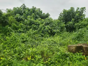Plot of Land 100ft by 50ft
