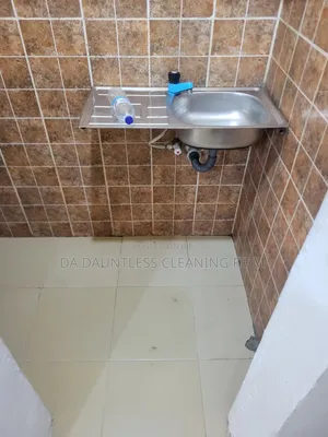 Laundry and Professional Cleaning Services