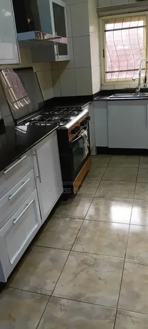 Laundry and Professional Cleaning Services