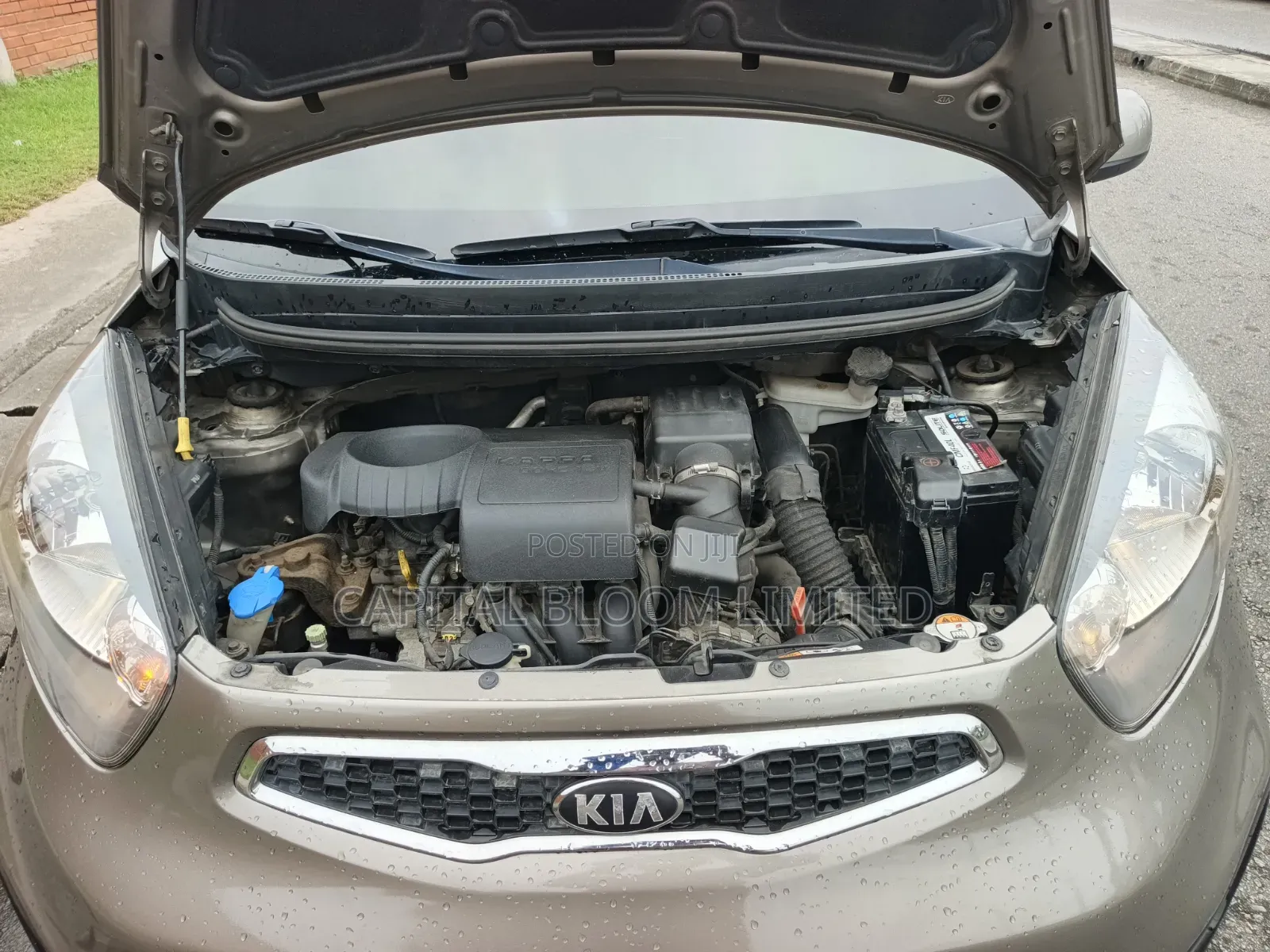 Kia Picanto 2013 Brown