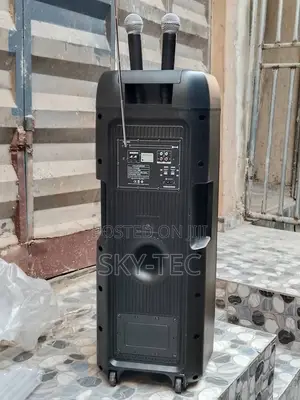 Ailipu Sound System 2handle Wireless Mic 9000w Big Battery Big Magnet